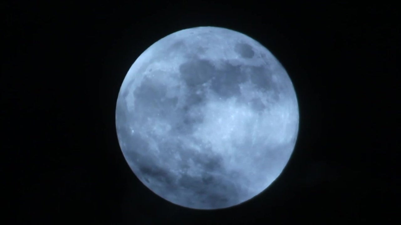Pink Full Moon is Pretty as a Flower