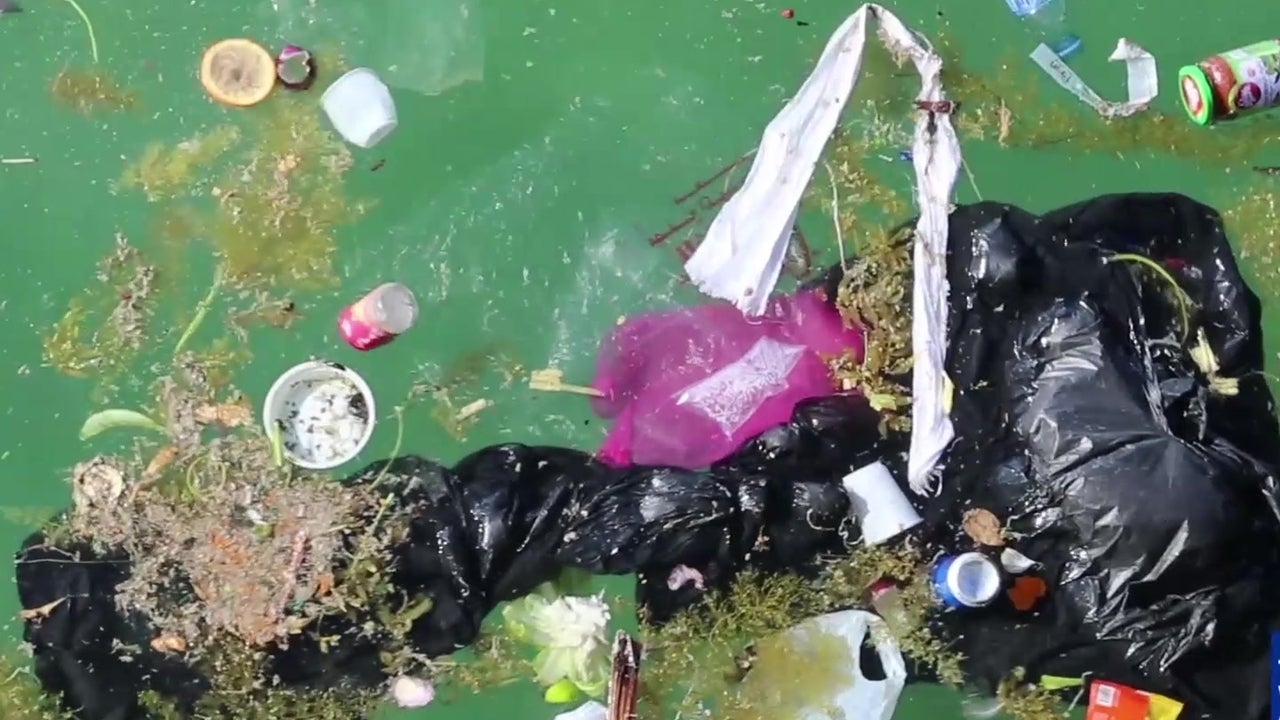 Plan Outlines Battle Against Ocean Plastic