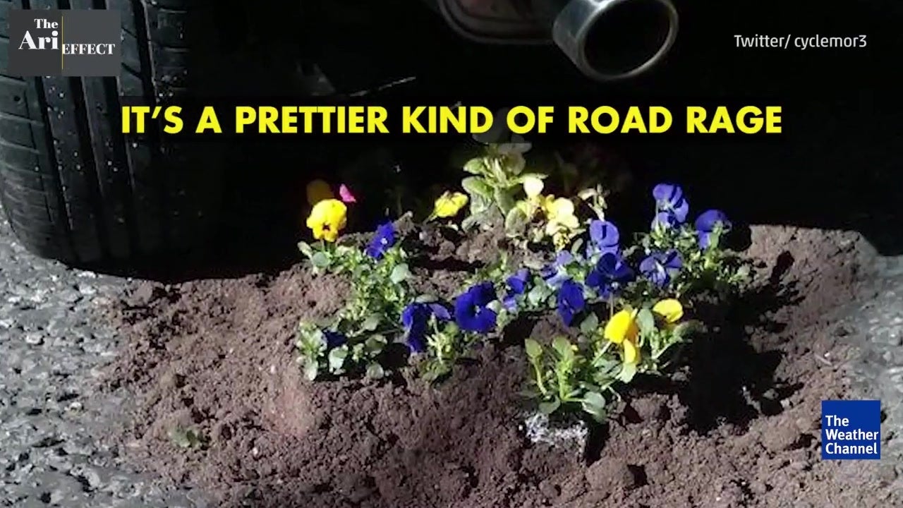 Planting Flowers To Protest Potholes