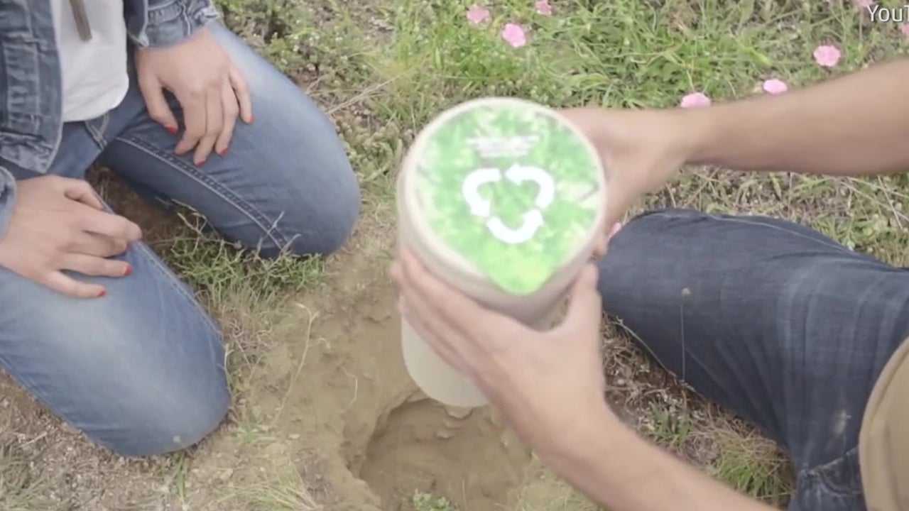 Plants Grow from Ashes in High-tech Urn