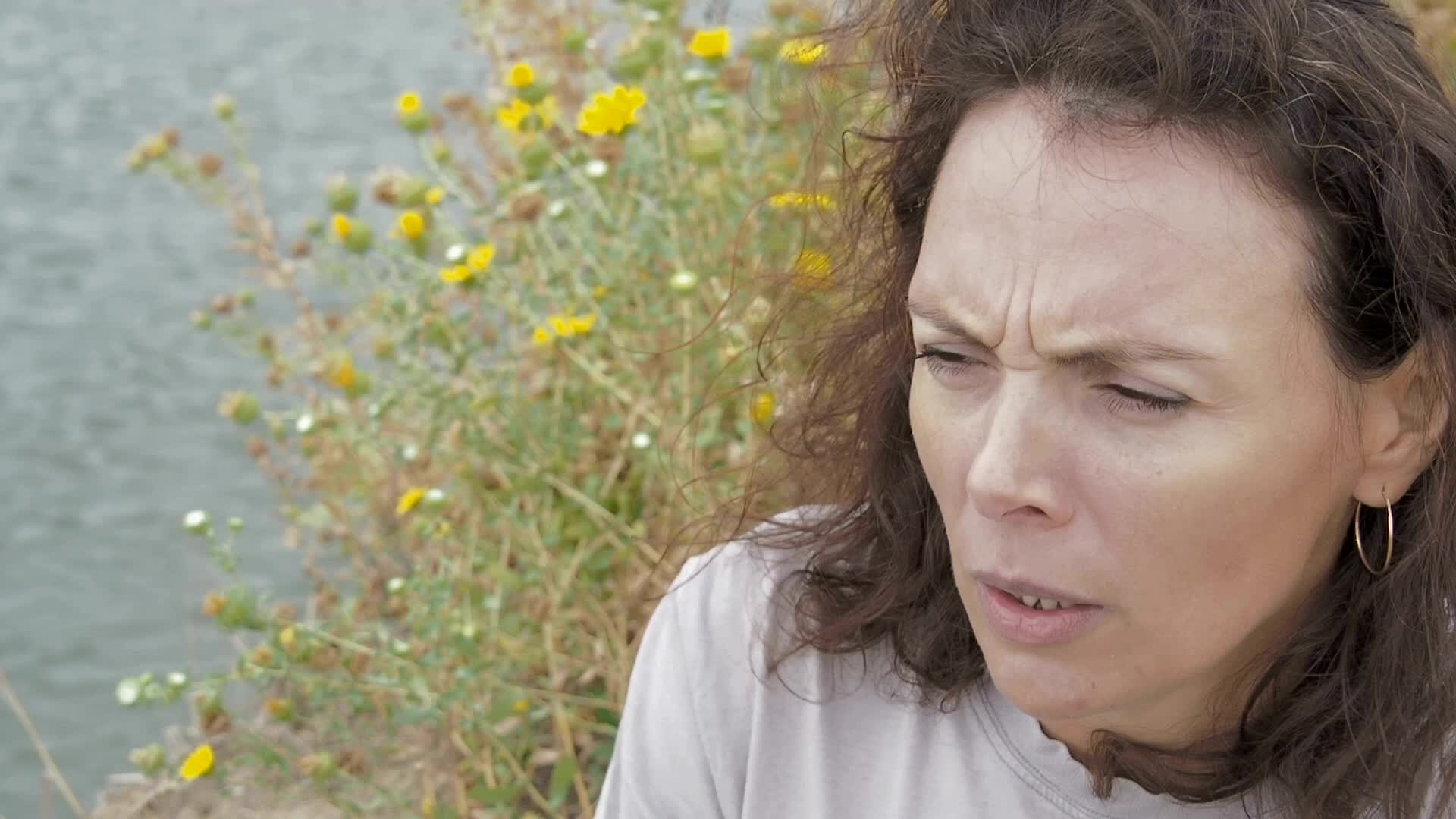Plants That Trigger Fall Allergies