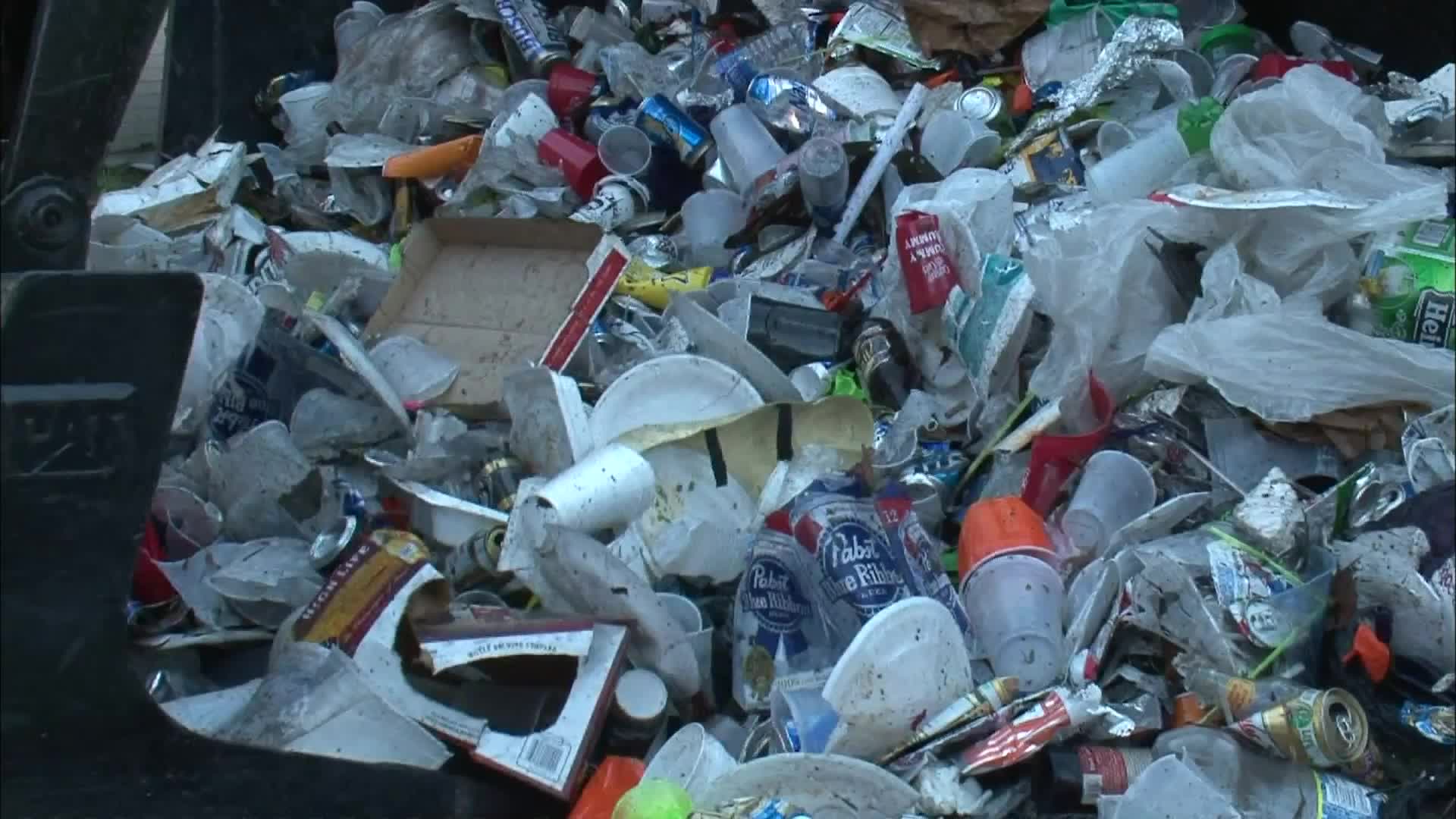 Plastic-Eating Enzyme Cocktail Can Digest Plastic Bottles in Hours