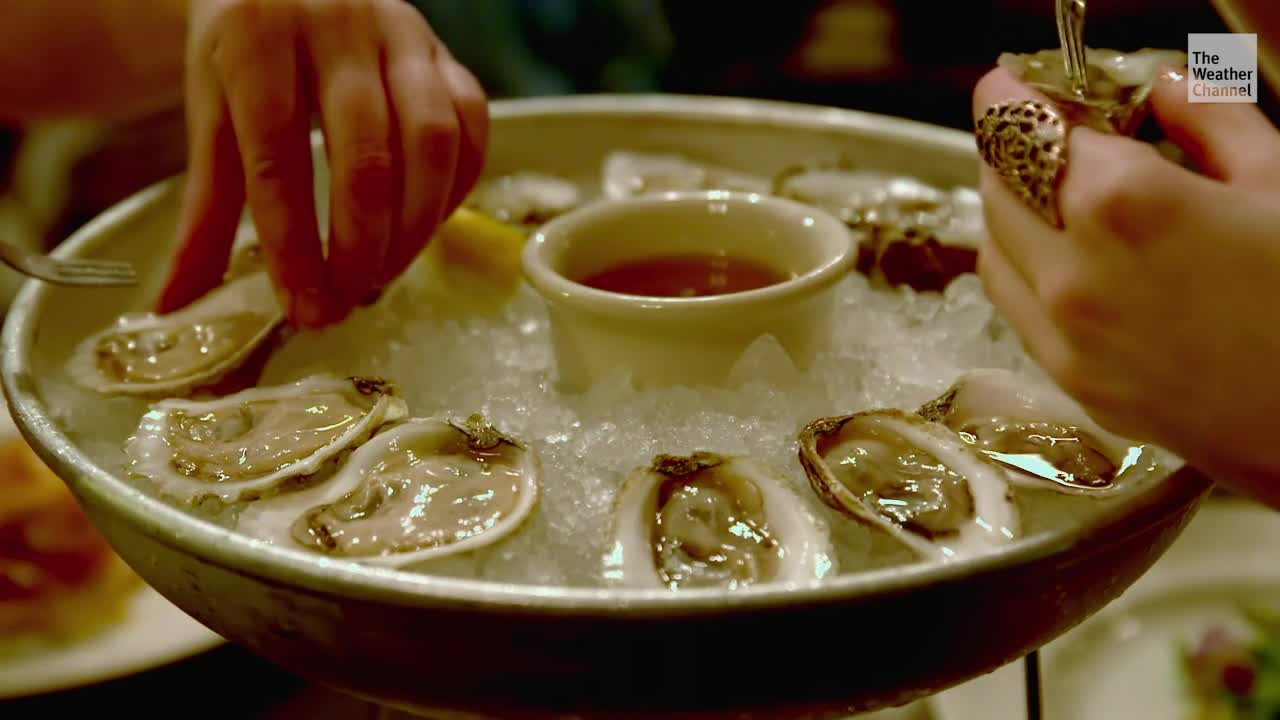 Plastic Polluting Popular Seafood, Study Finds