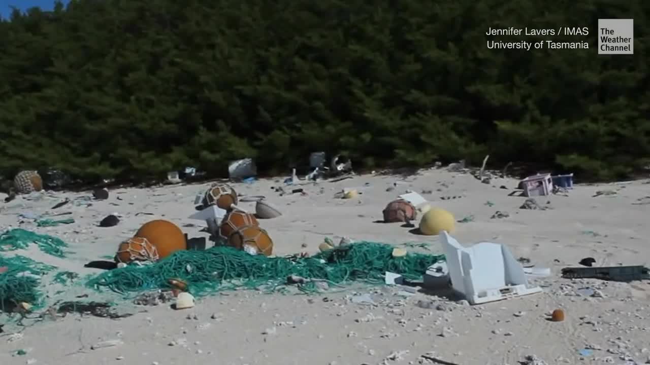 Plastic Pollution Raises Beach Temperatures, Could Impact Sea Turtles, Study Finds