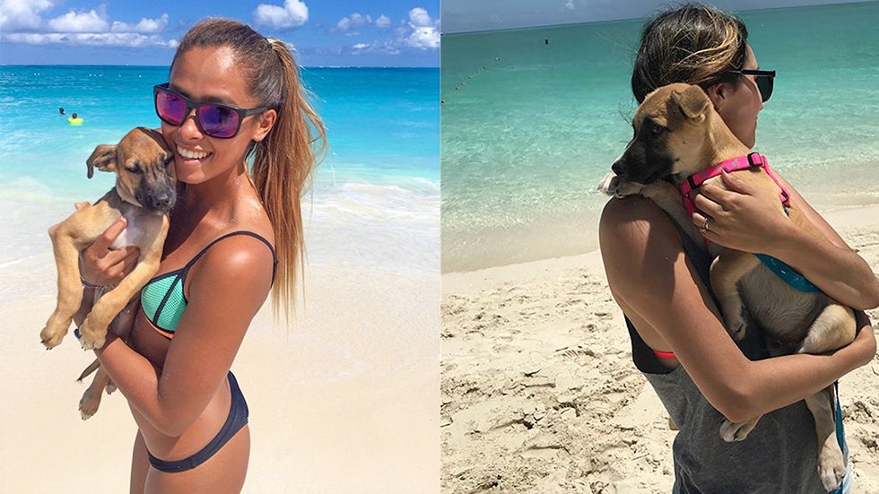 Play With Puppies In Turks & Caicos