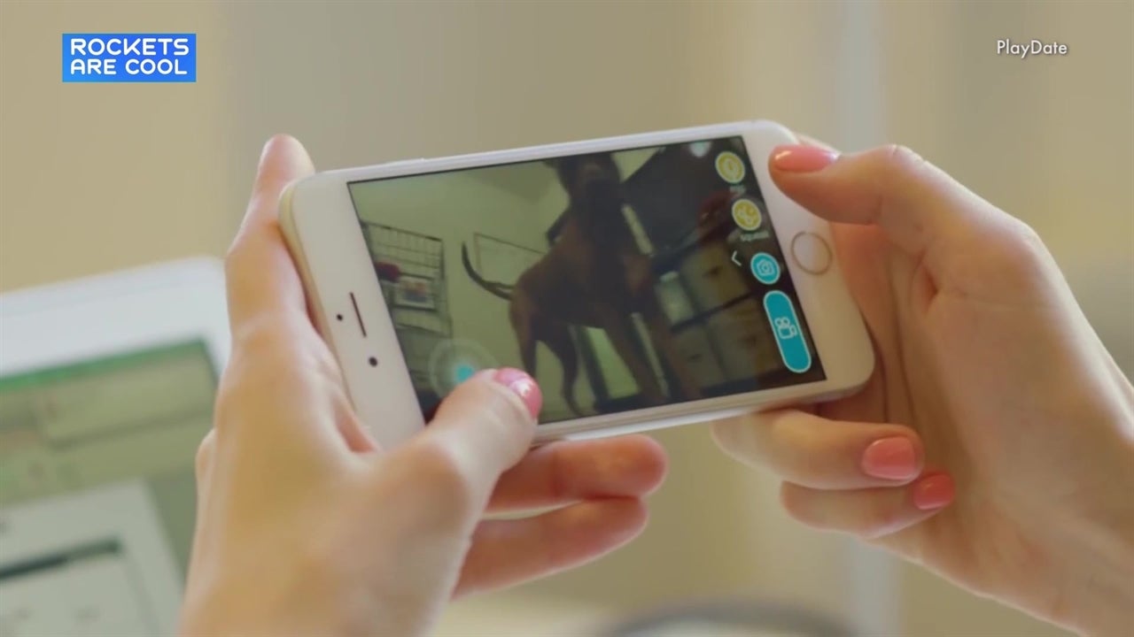 Play with your Pet from Anywhere!