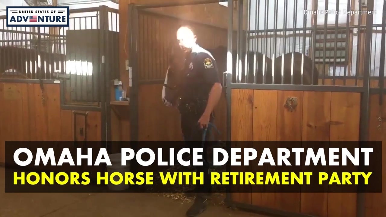 Police Horse Honored With Retirement Party