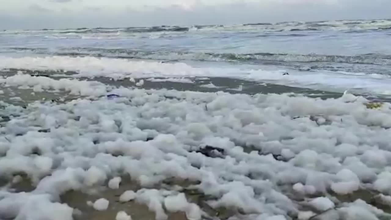 Popular India Beach Covered in Stinky, White Foam