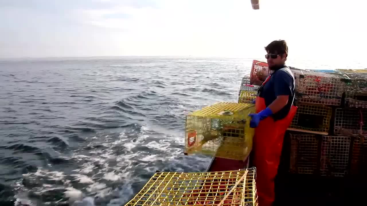 Pres. Trump Allows Commercial Fishing in Marine Conservation Area