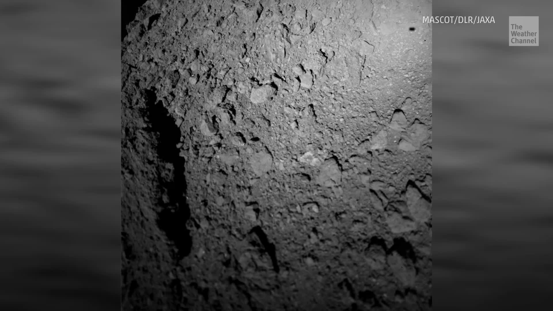 Probe of Ryugu Yields Fascinating Finds But Not Asteroid’s Origin