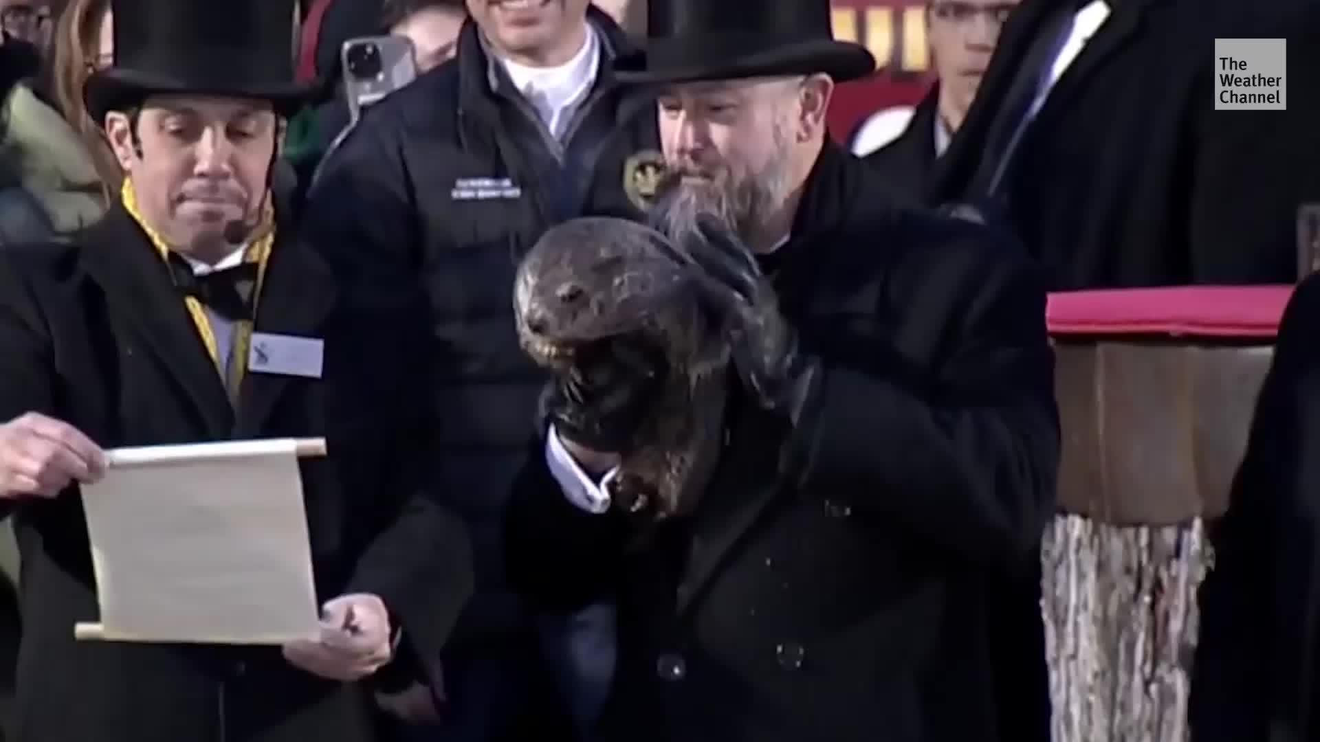 Punxsutawney Phil&rsquo;s Babies Officially Named