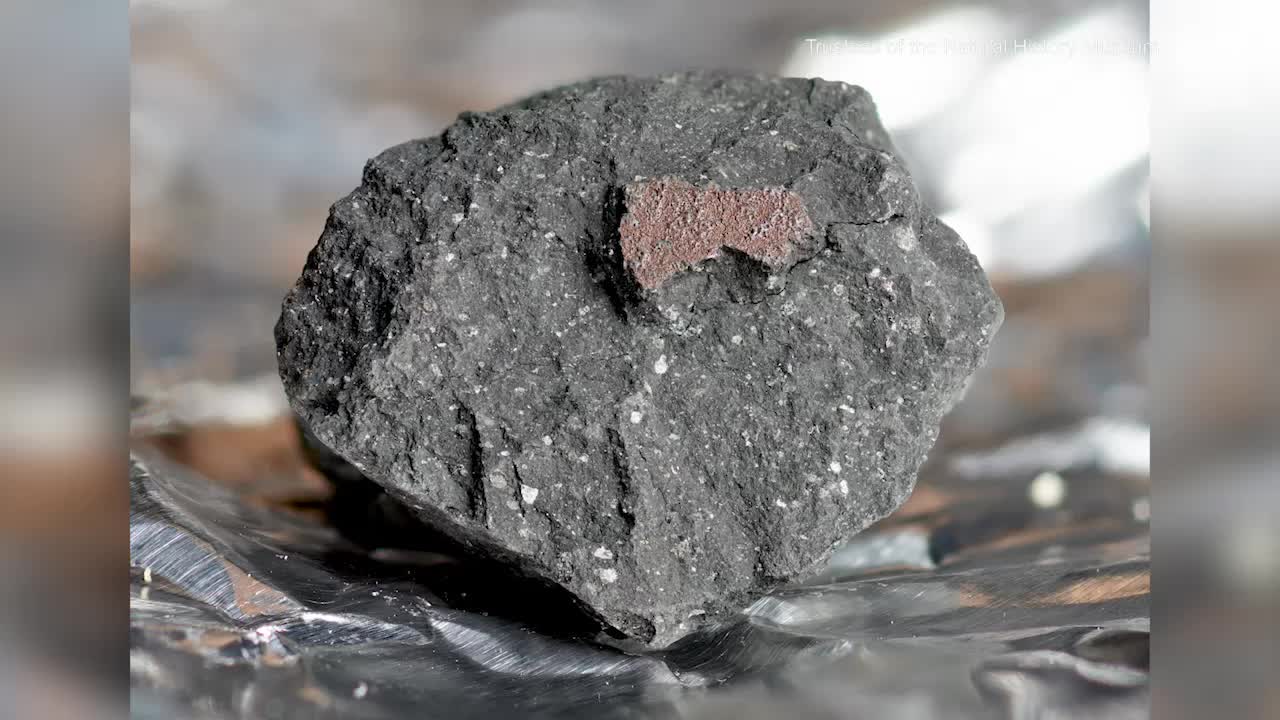 Rare Meteorite Could Contain Building Blocks of Life