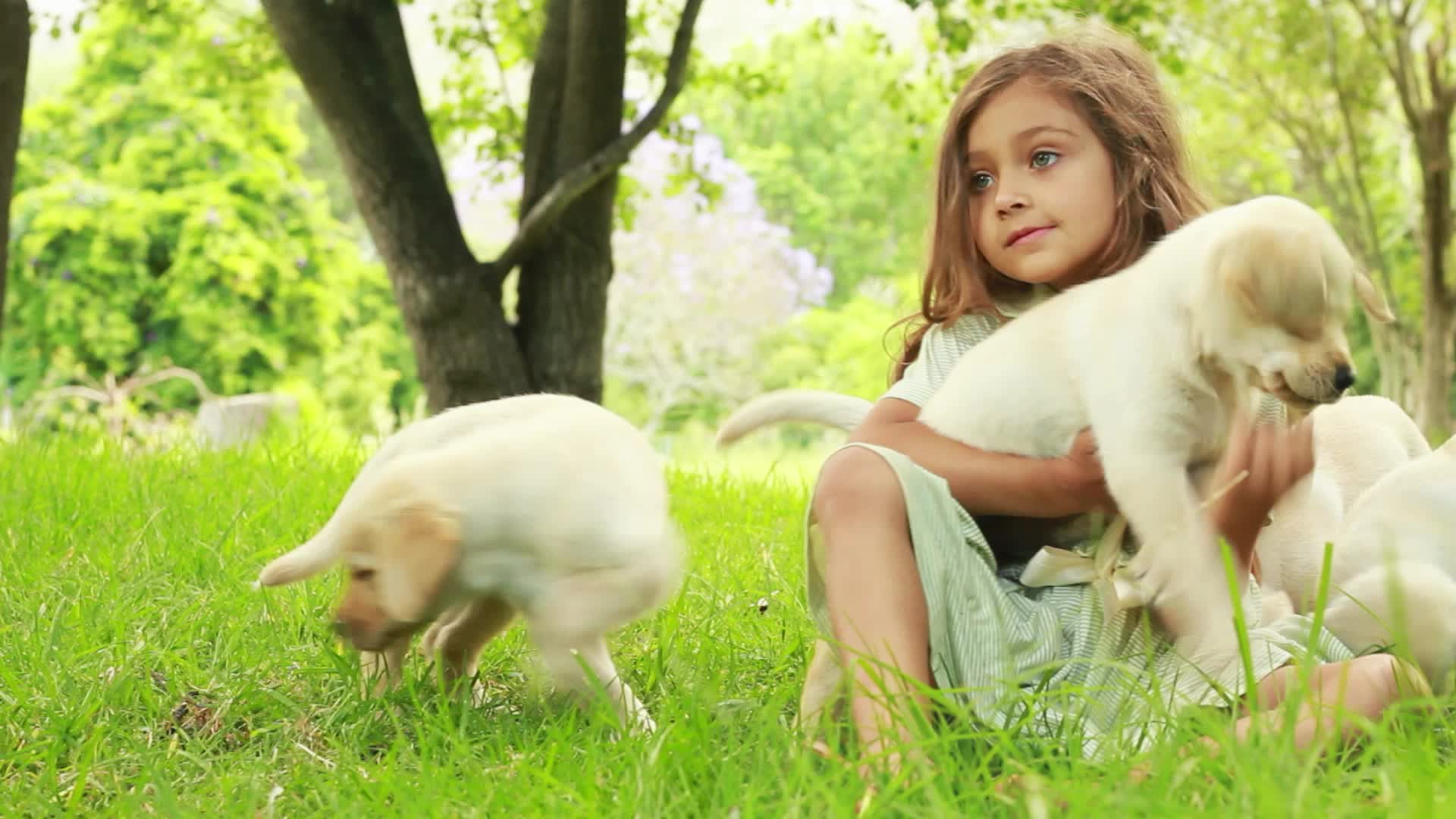 Ready For Fun Outdoors? So Are Fleas and Ticks