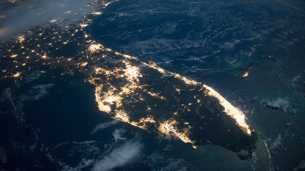Red Tide Prompts Emergency Declaration in Florida