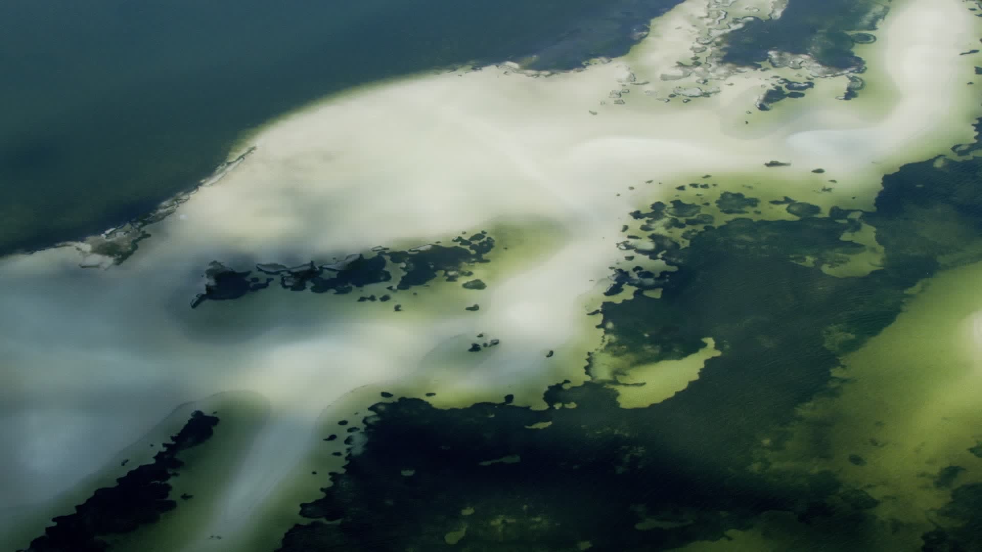 Red Tide Spike Off Fort Myers Beach Causes Dead Animal Influx