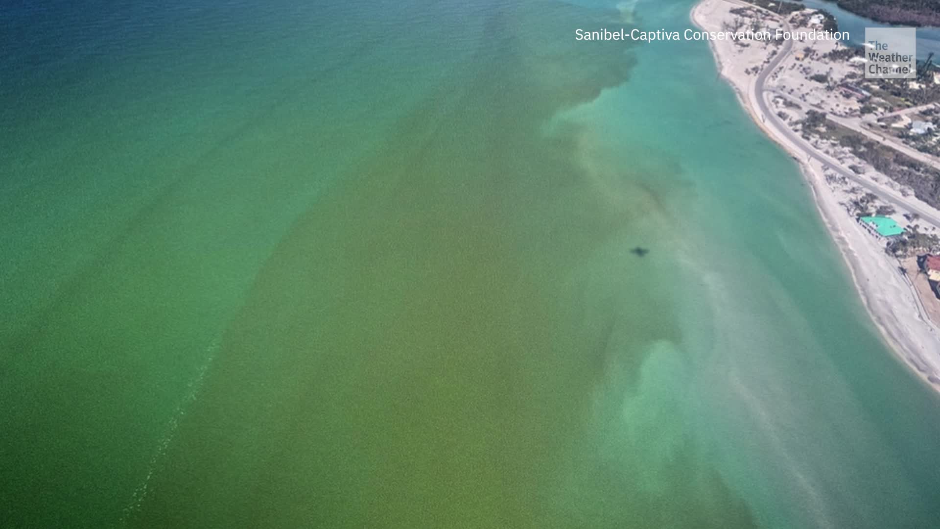Red Tide Warning Issued In Sanibel Island, Florida