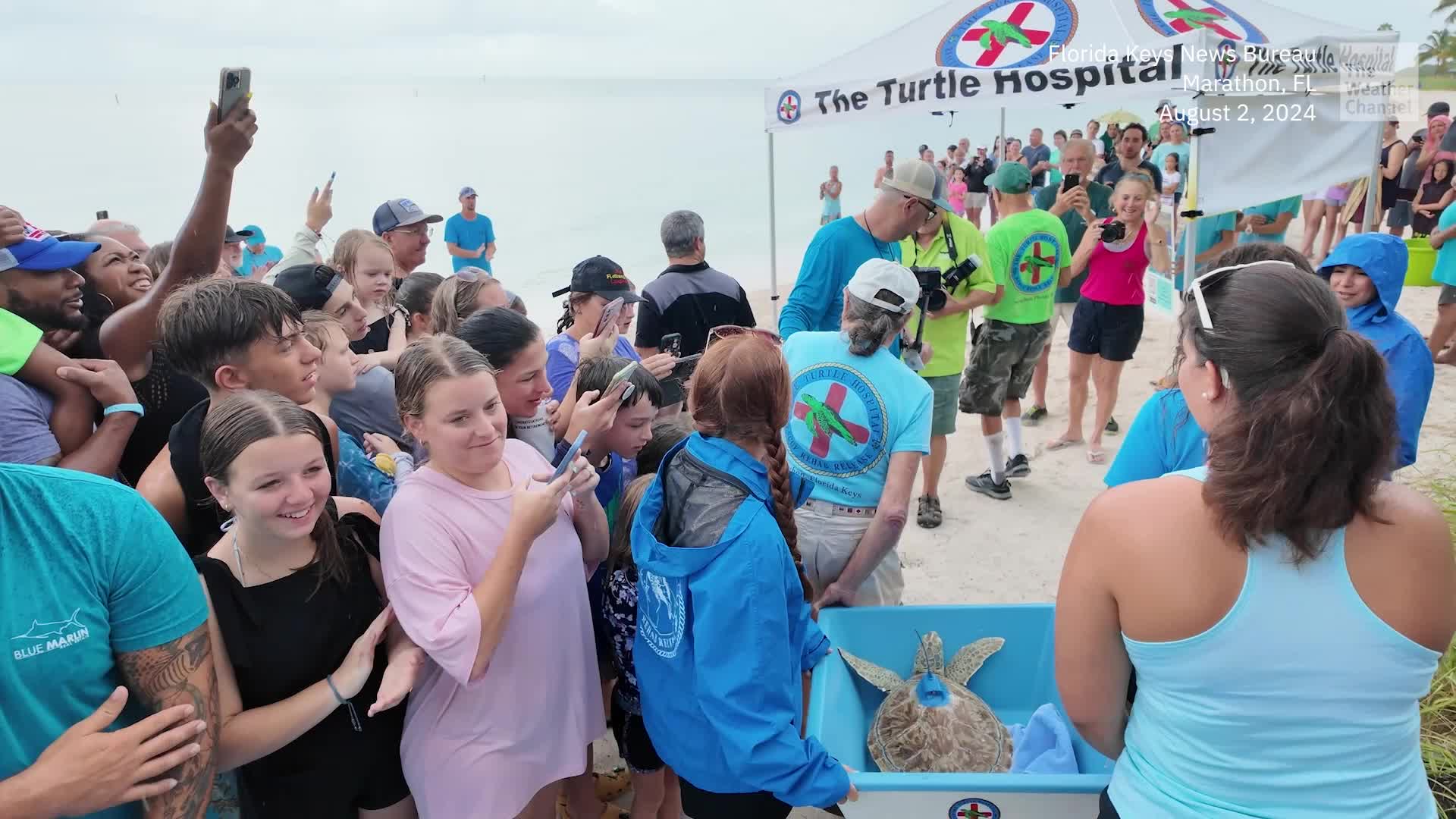 Rescued Sea Turtle Released To Be Part Of &lsquo;Tour de Turtles&rsquo;