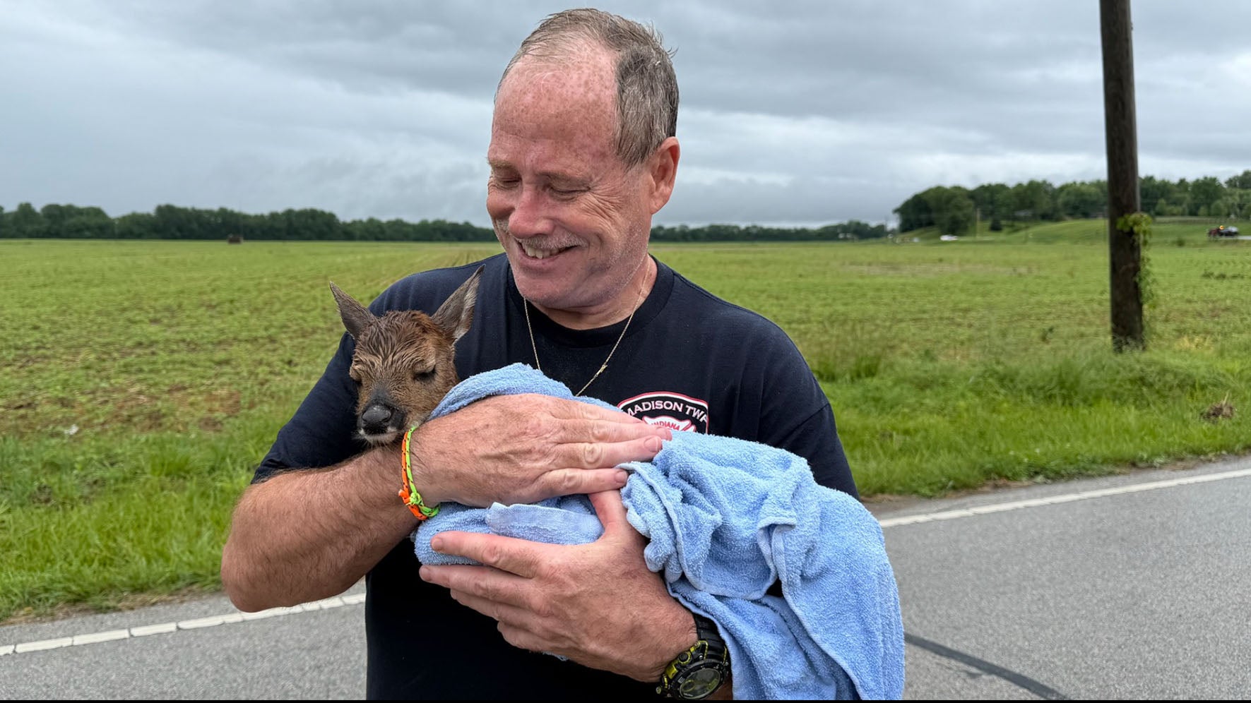 Rescued baby deer