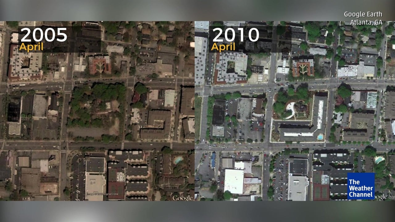 Research Shows U.S. Cities Are Losing 36 Million Trees Annually