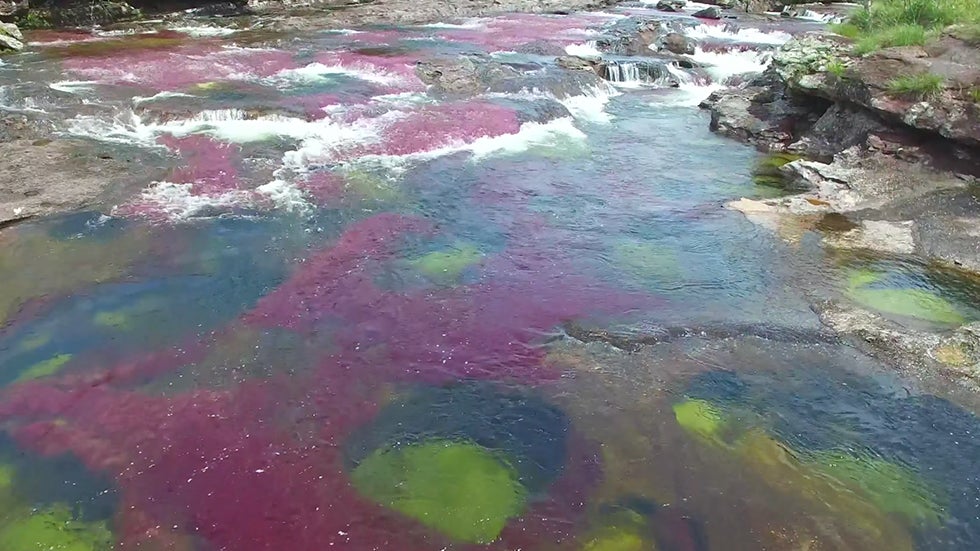 River Looks Like Rainbow