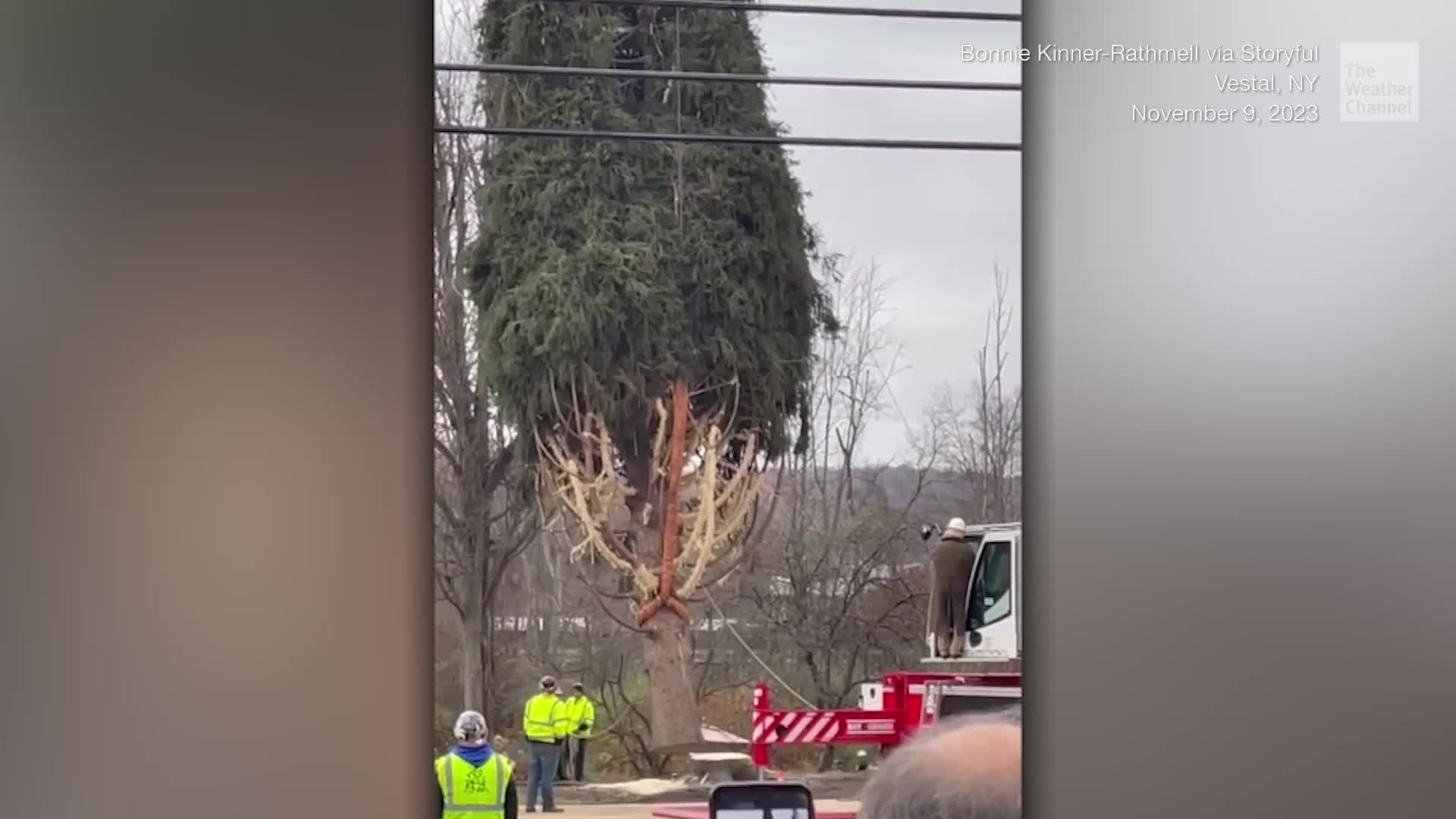Rockefeller Center Christmas Tree Starts Journey