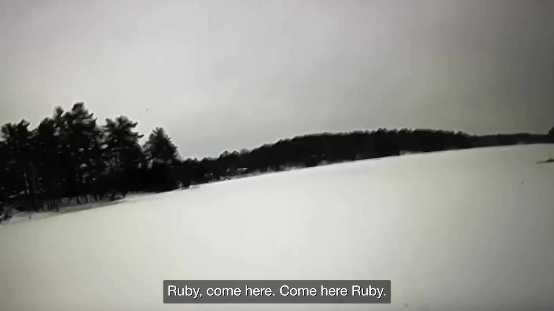 Ruby The Dog Helped Police Pull Owner From Icy Lake