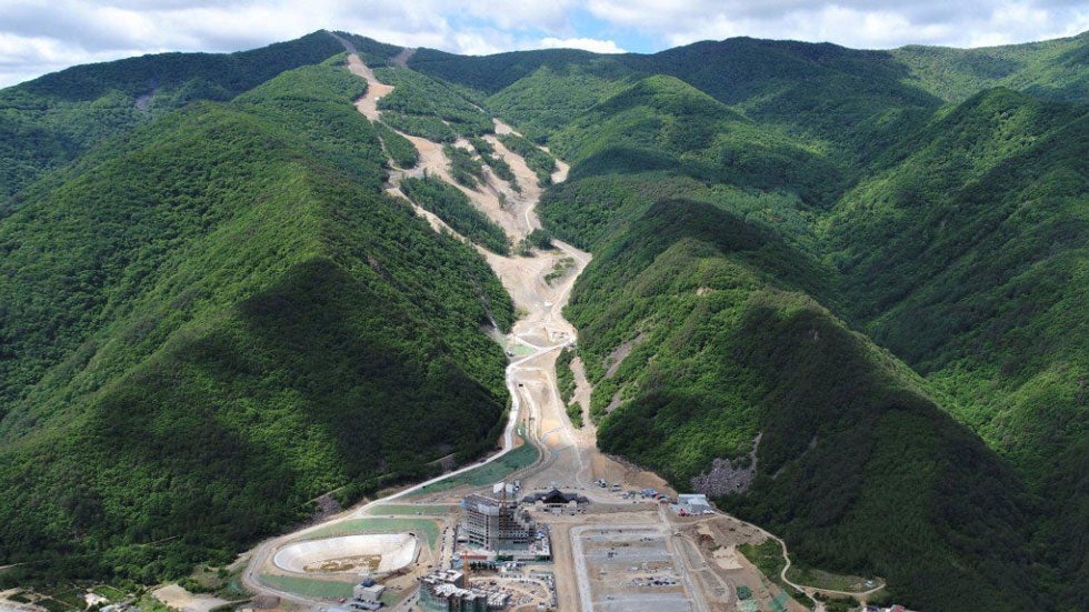Sacred Forest in South Korea Cut Down for Winter Olympics
