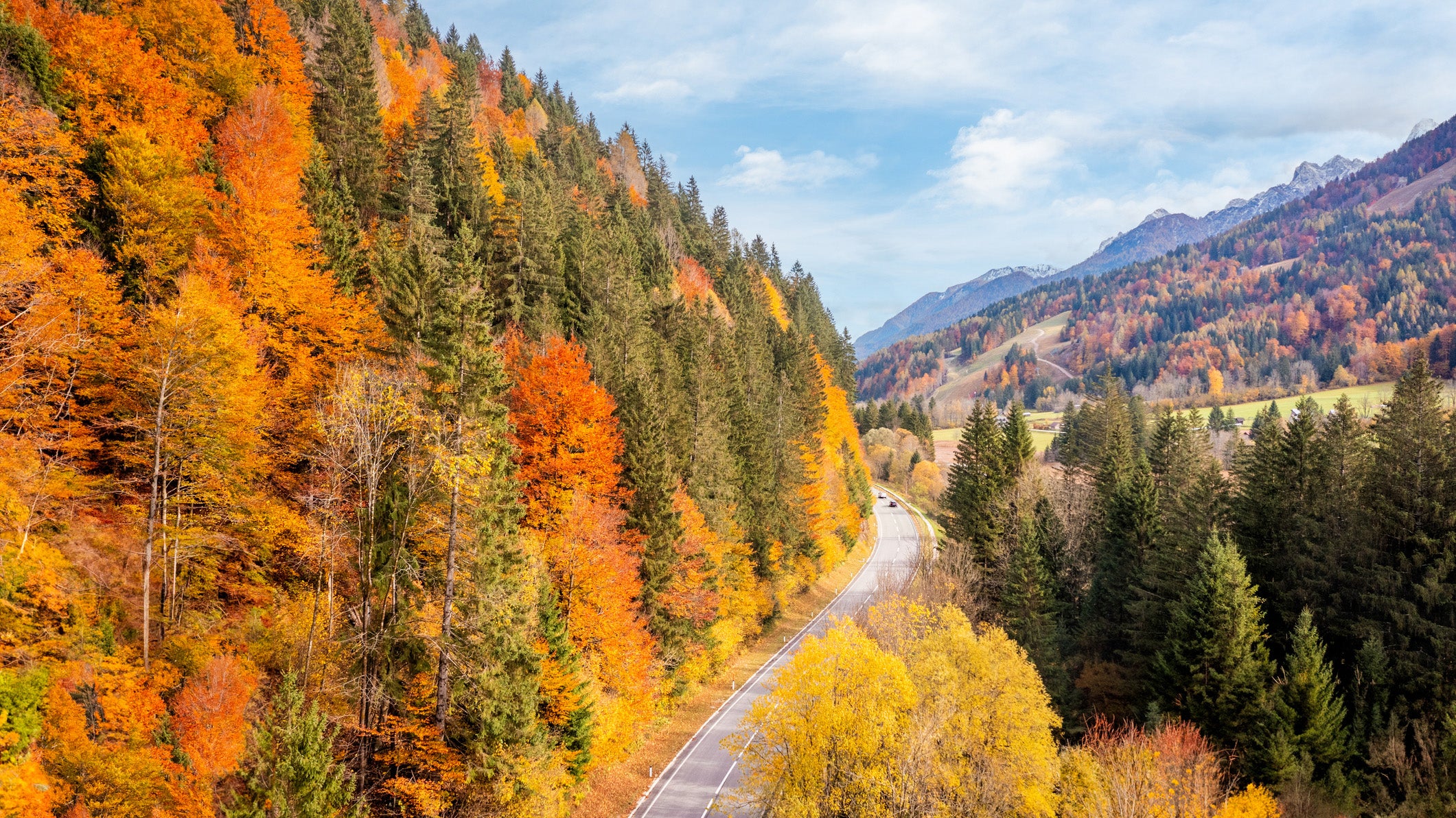 Driving through a forest during autumn in Slovenia.