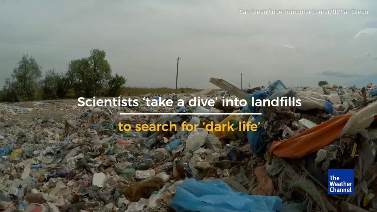 Scientists Search for Dark Life in Landfills
