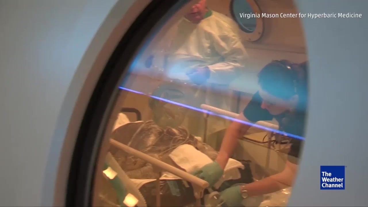 Sea Turtle Treated for ‘the Bends’