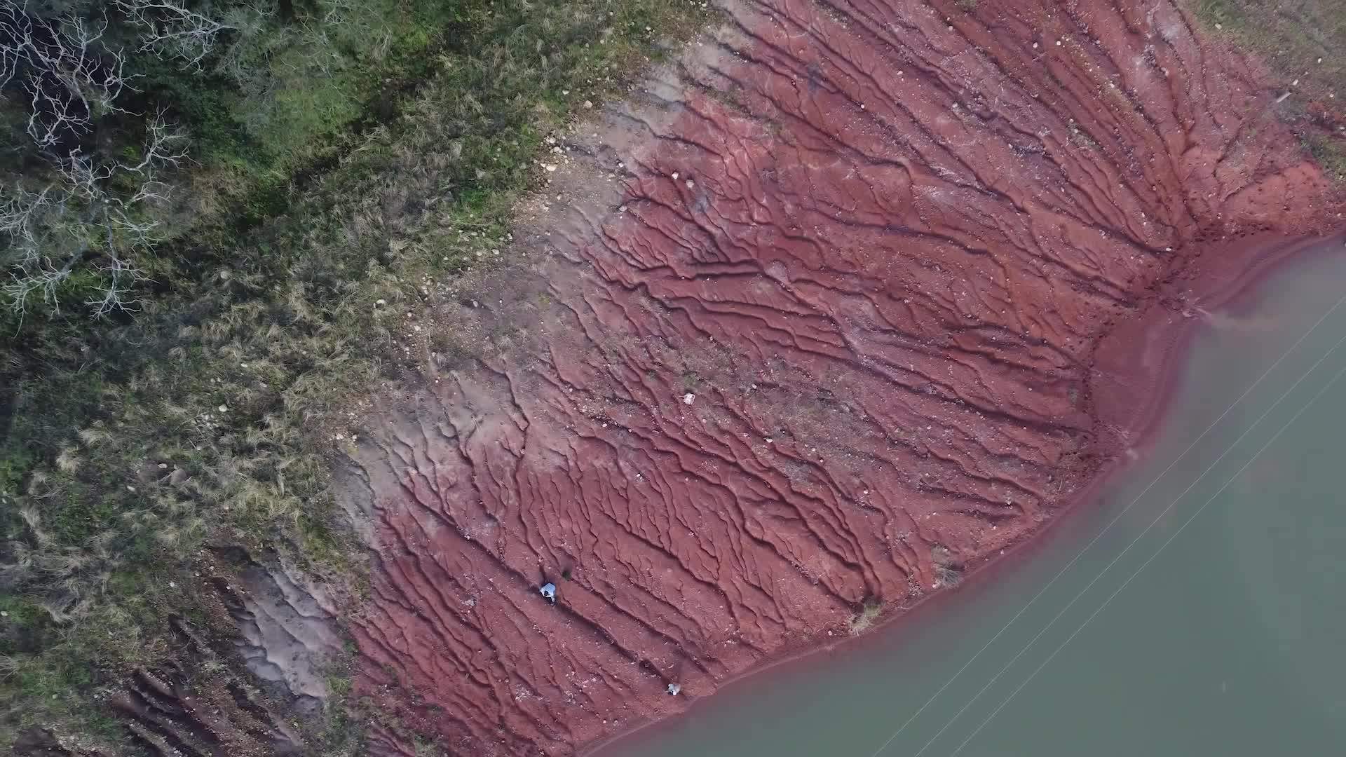Severe Flooding Unearths Nearly Complete Dinosaur Fossil