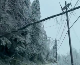 Shocking Scenes Following Western Oregon Ice Storm