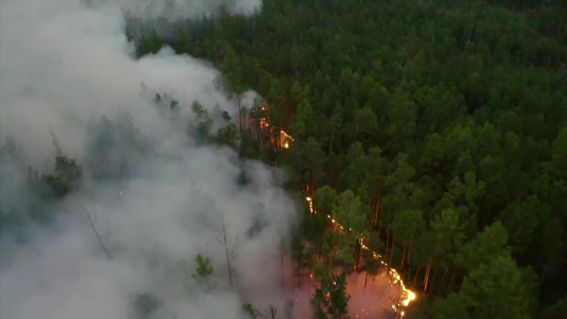Siberia Wildfires Paint Dire Picture of Global Climate Change