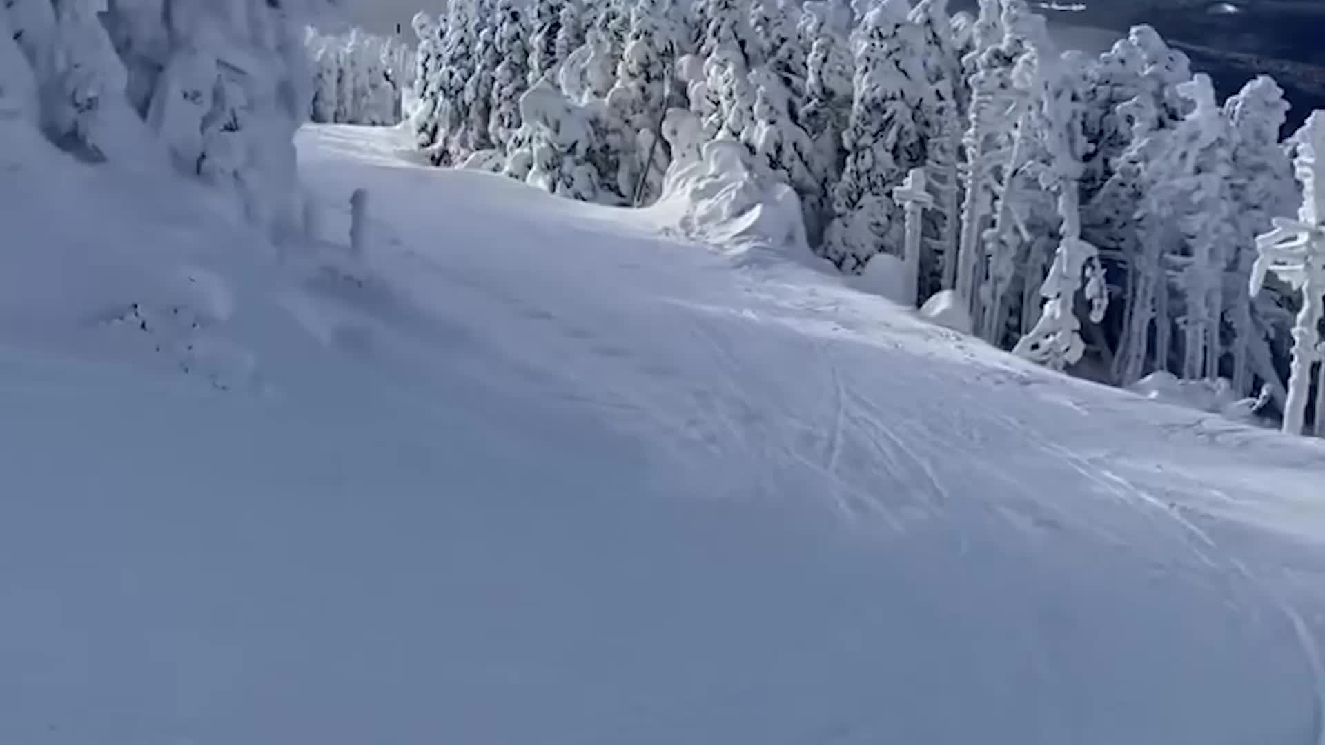 Skier Captures Moose On Saddleback Mountain&rsquo;s Opening Day