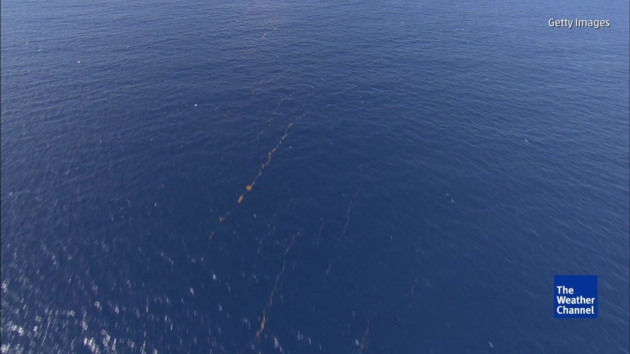 Slowing Ocean Currents Could Wreak Havoc on Weather