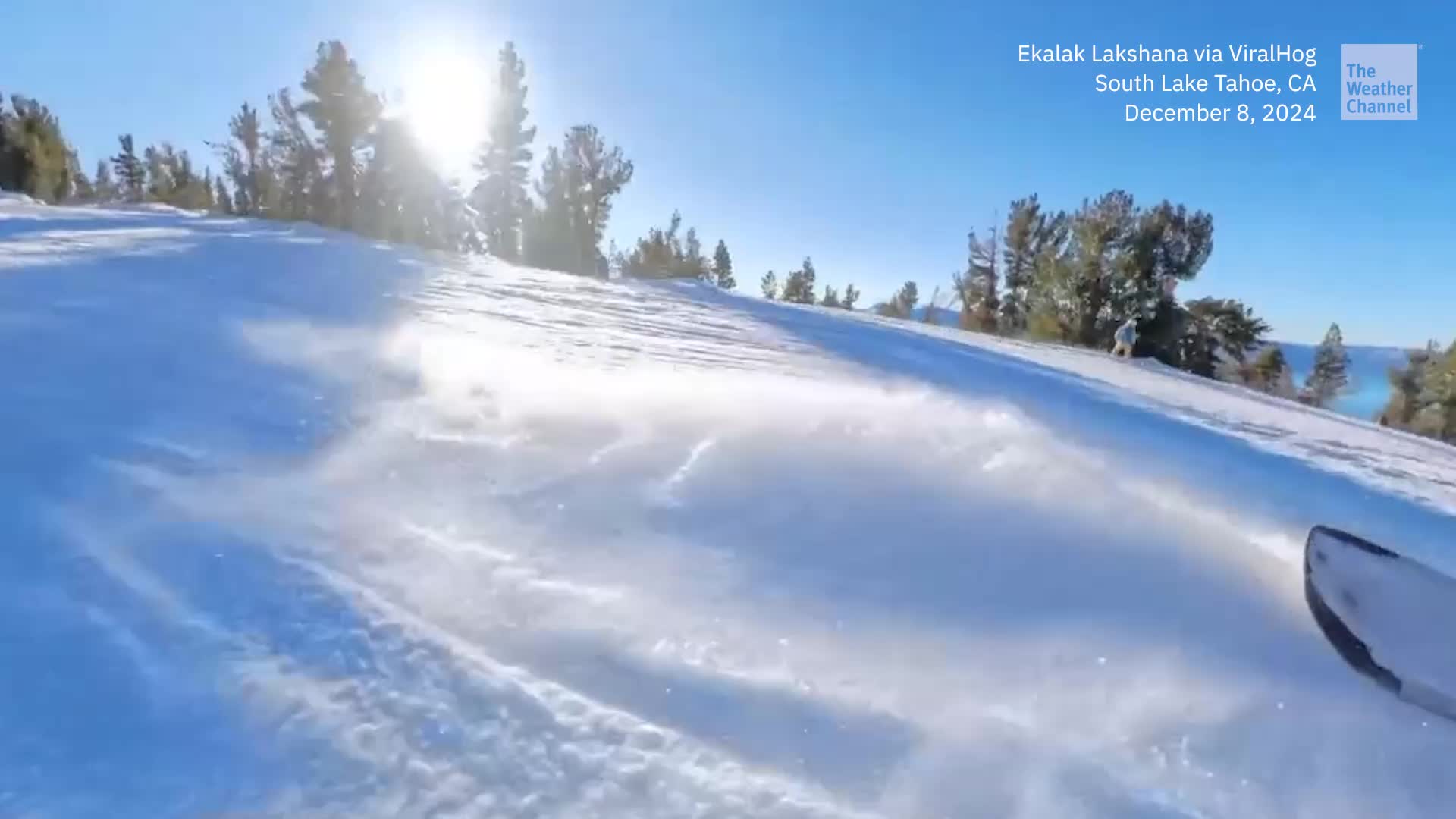 Snowboarder Nearly Hits Bear On Slopes