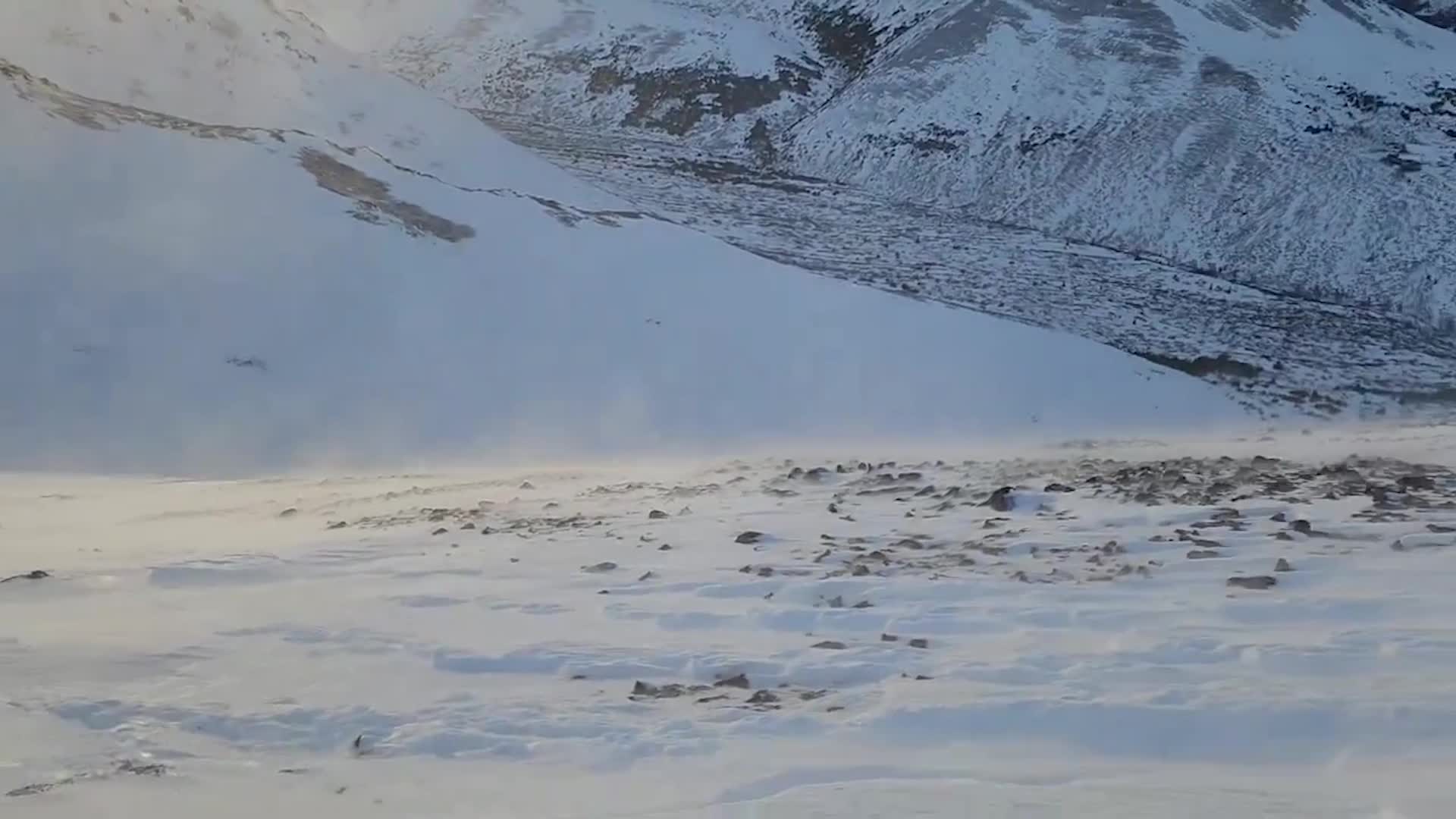 &lsquo;Snownado&rsquo; Caught On Camera