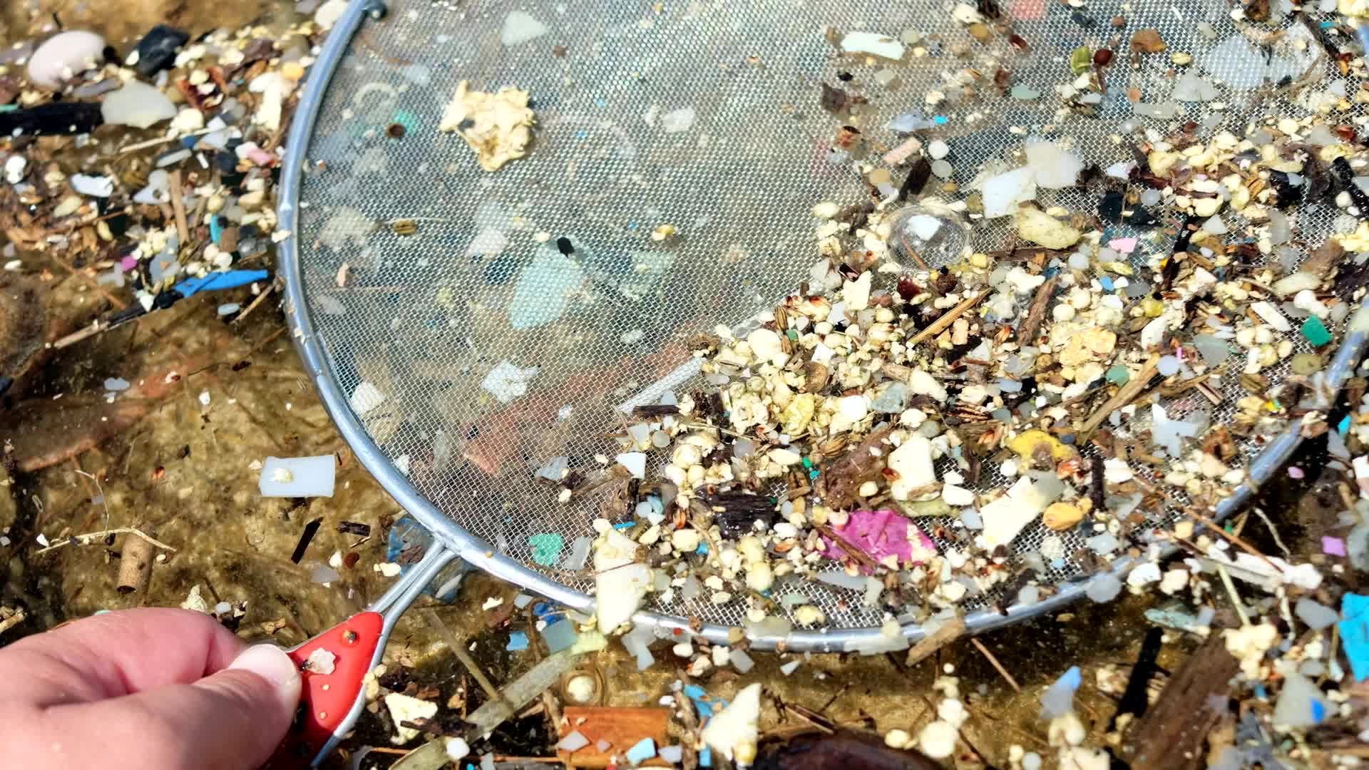 Soil From First, Second Centuries Tainted By Microplastics