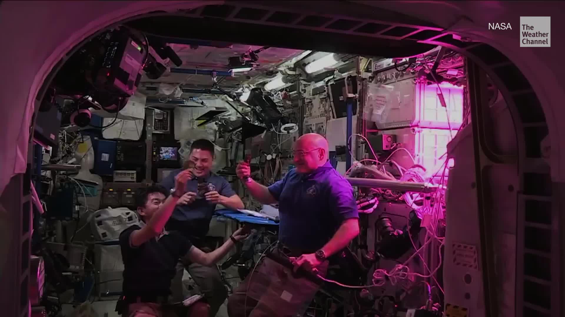 Space Lettuce Just as Good as Lettuce on Earth, Report Finds