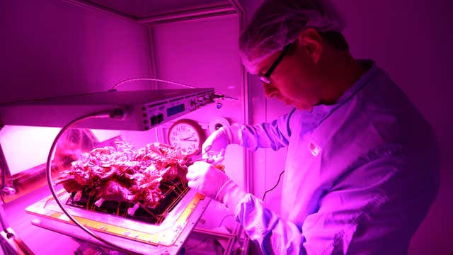The coolest science experiments on the International Space Station