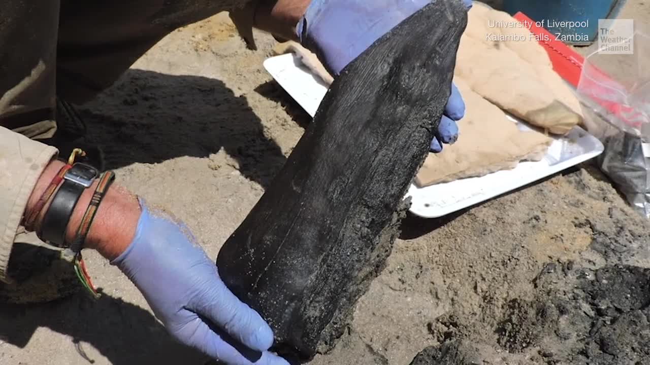 Stone-Age Wood Structure Found In Africa