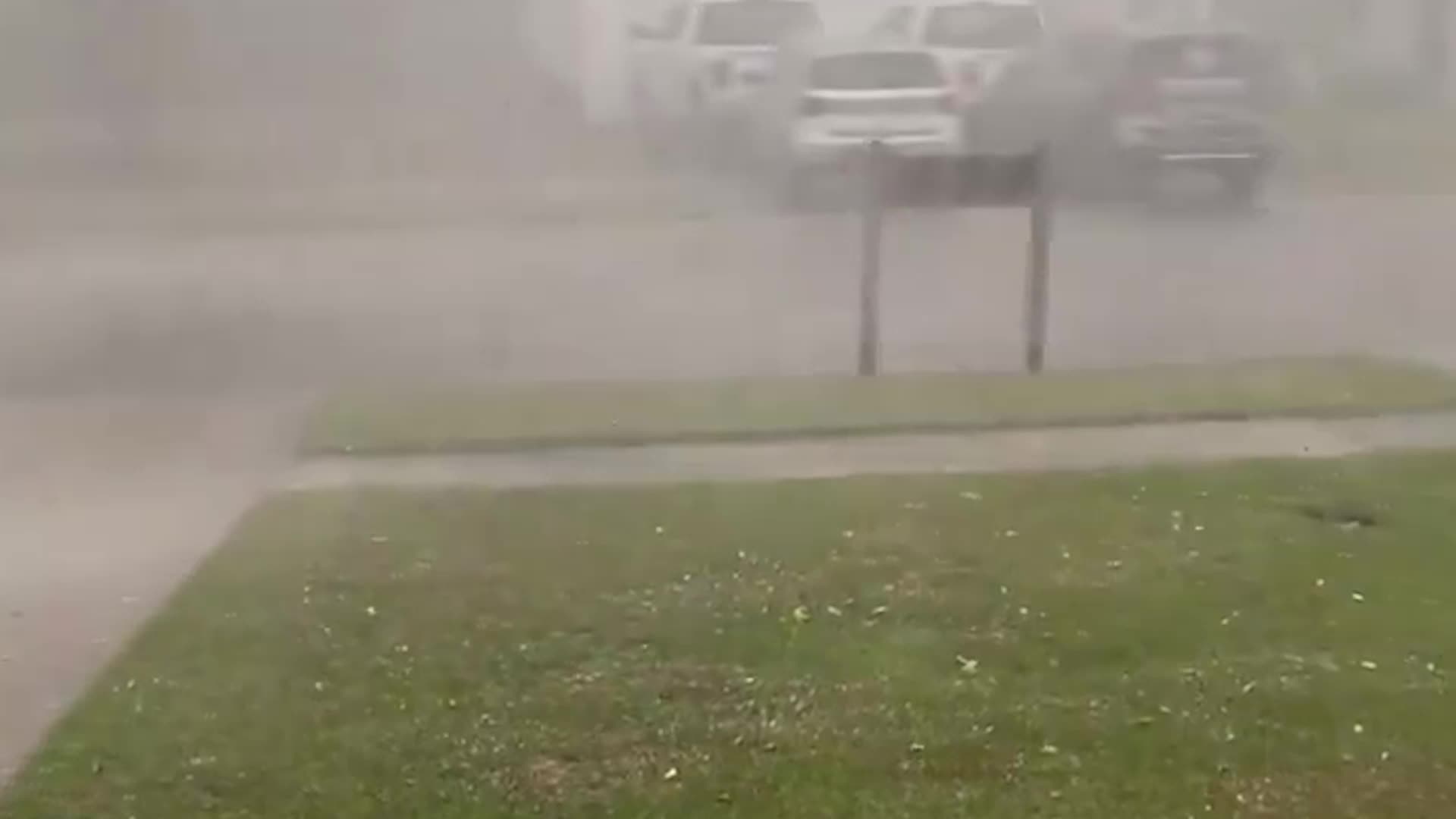 Storm Topples Trees, Slams Charleston Area With Hail