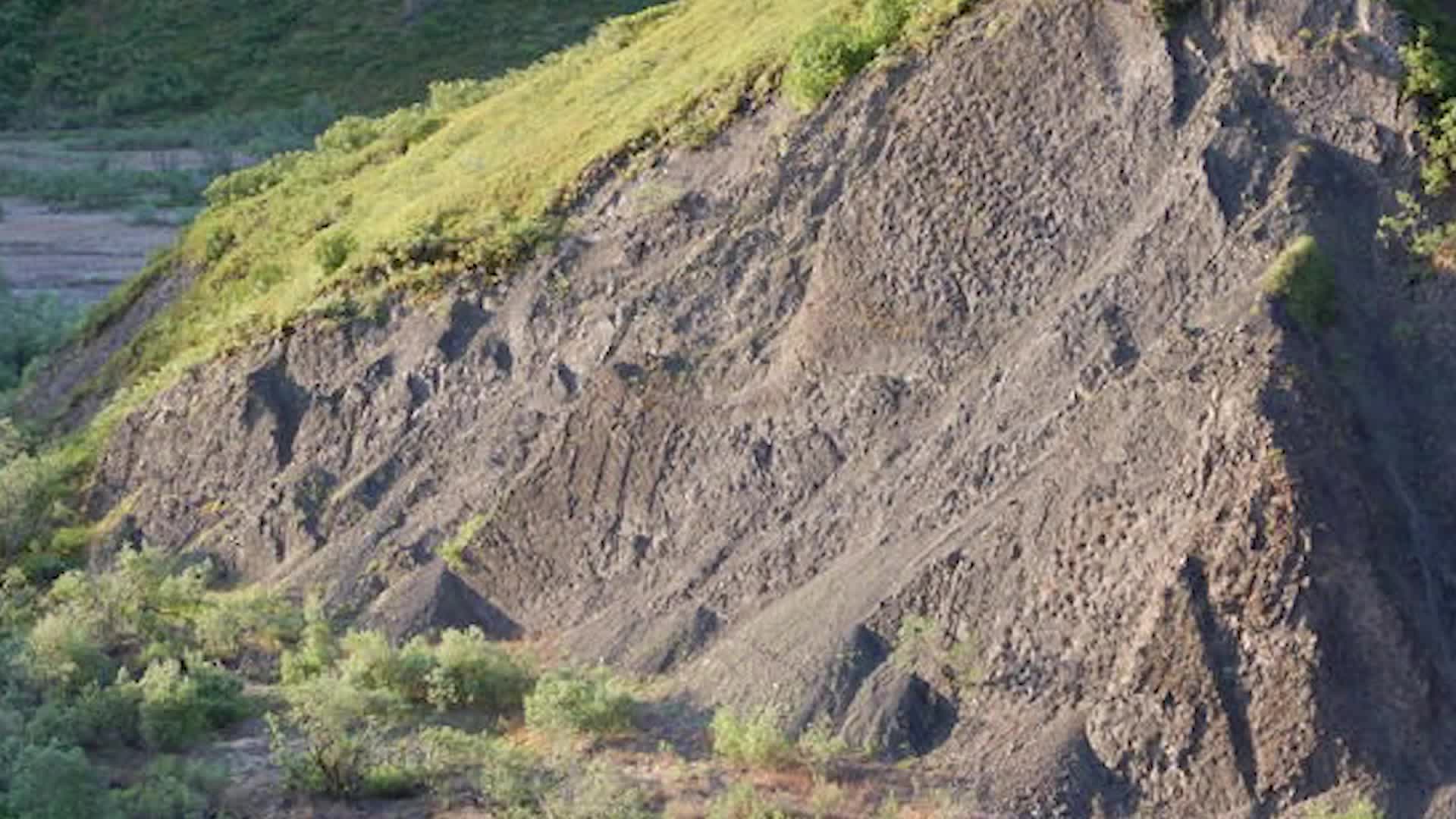 Strange, Jagged Cliffs &lsquo;Teeming&rsquo; With Dinosaur Tracks
