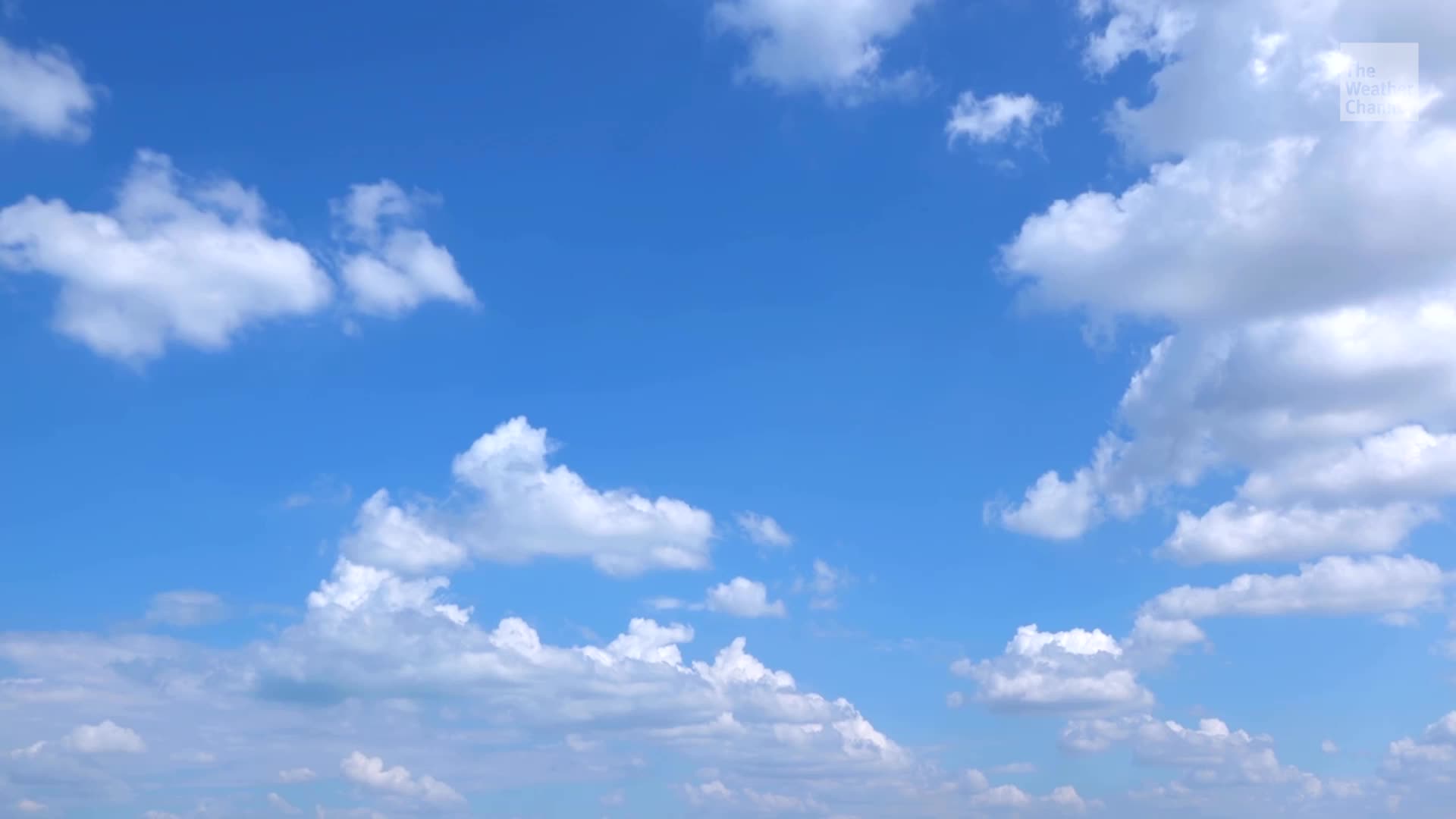 Studies Find 'Safe' Air Quality Levels Can Still Be Harmful