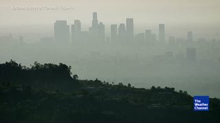 Study: Air Pollution Increases Alzheimer’s Risk
