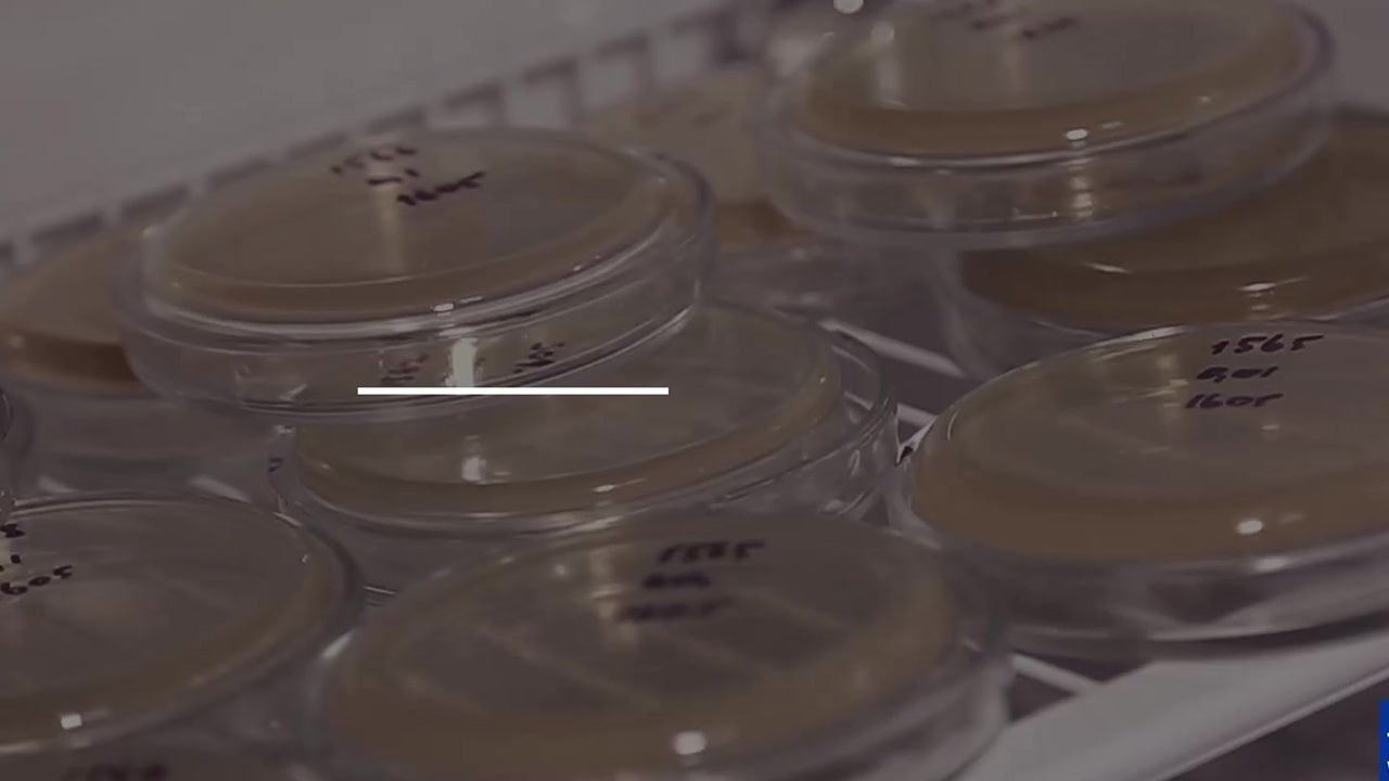 Study: Antibiotic Resistance Linked to Warming Climate
