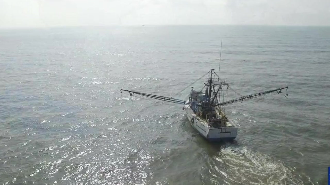 Study: Only 13 Percent of Ocean is Wilderness