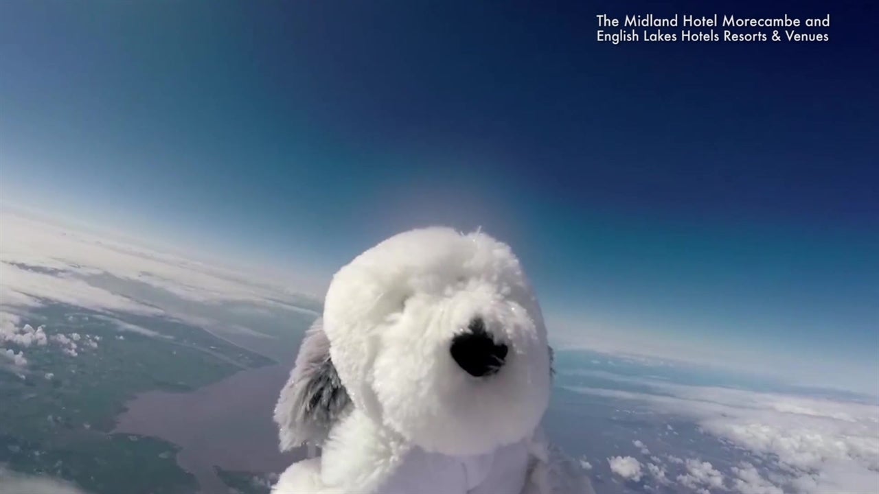 Stuffed Dog Sent to Edge of Space Goes AWOL