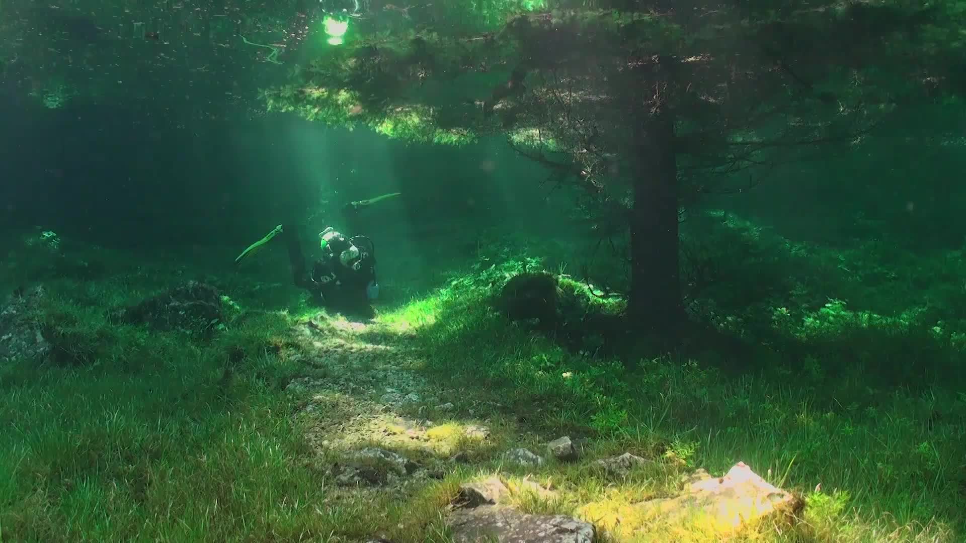 Submerged Park in Austria is the Caribbean of the Alps
