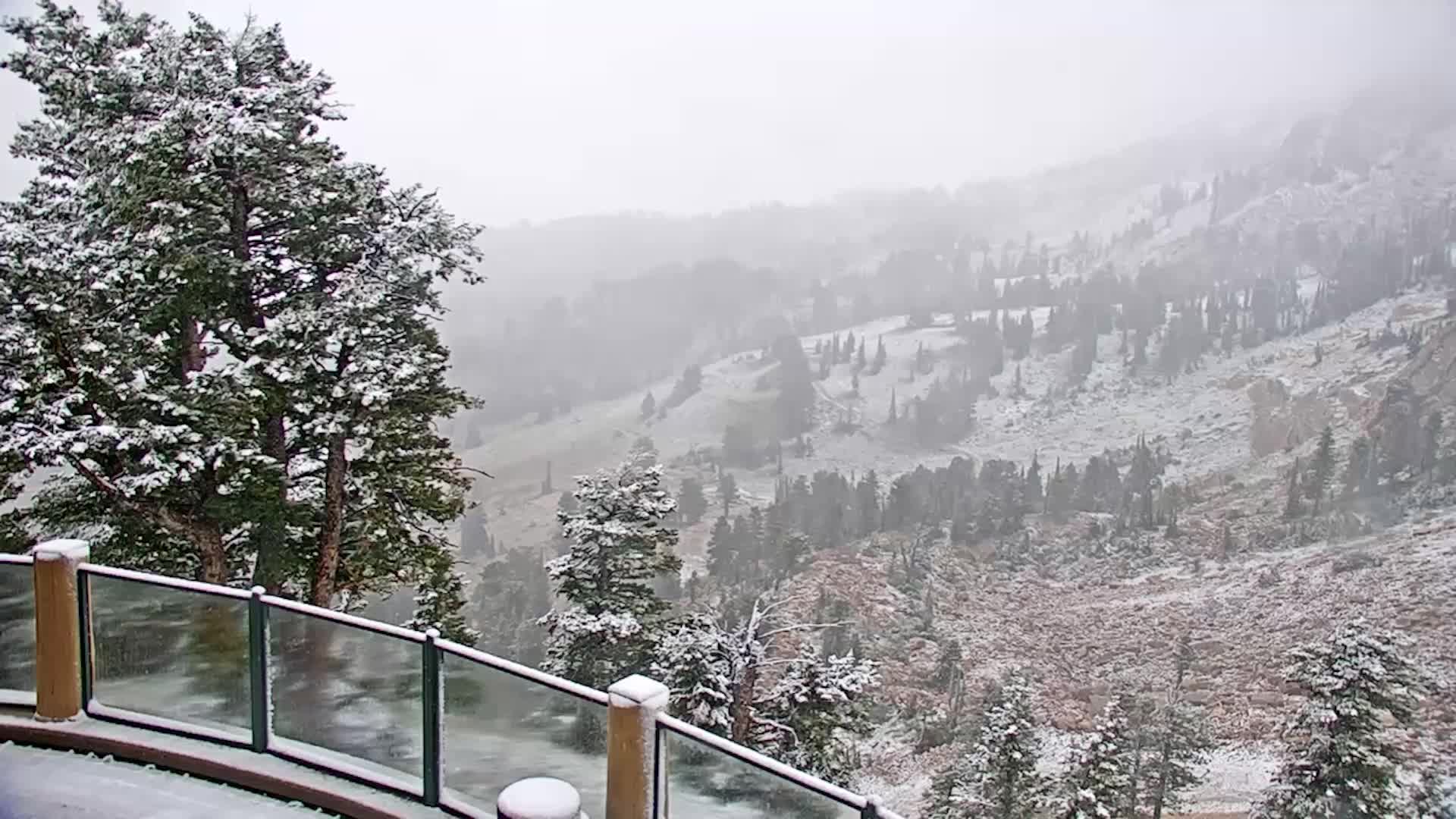 Summer Snow In Utah